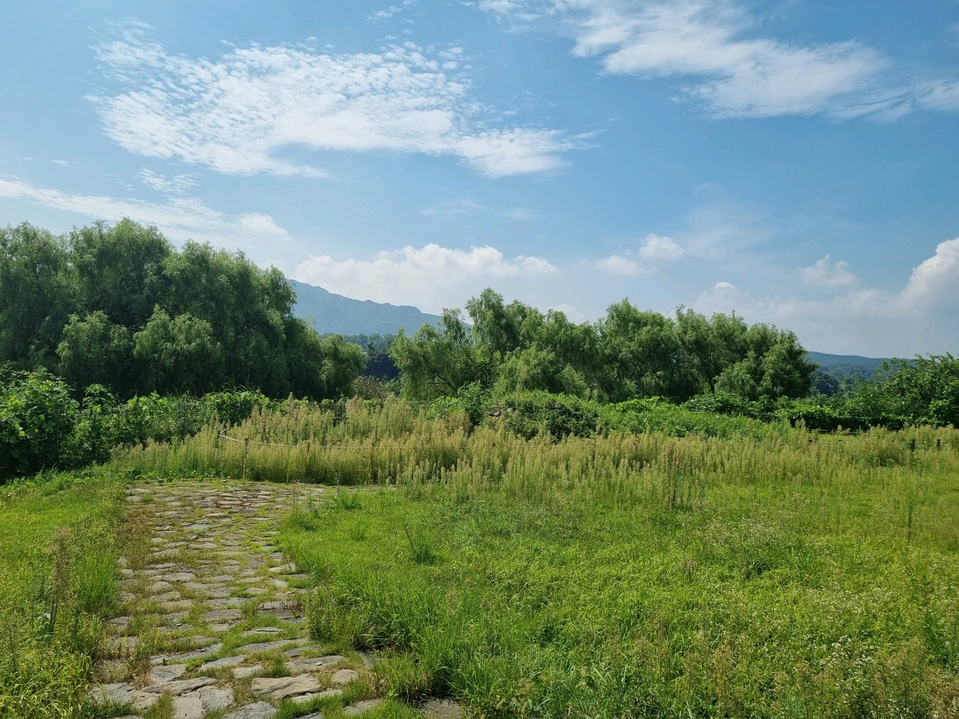 DMZ 평화의 길 11코스 