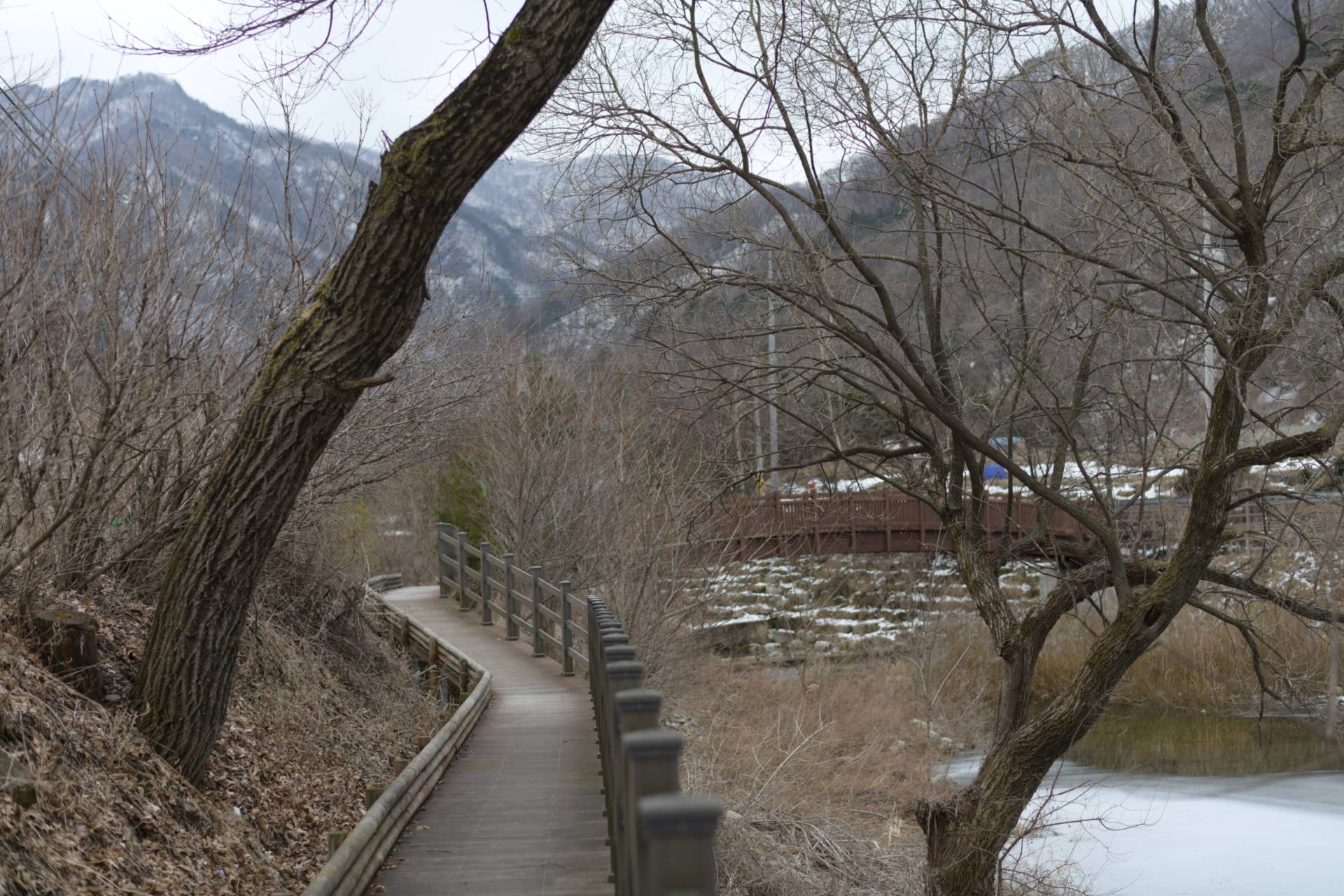 DMZ 평화의 길 19-1코스(우회로)