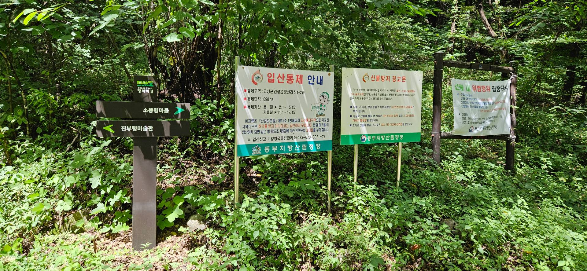 DMZ 평화의 길 31코스 