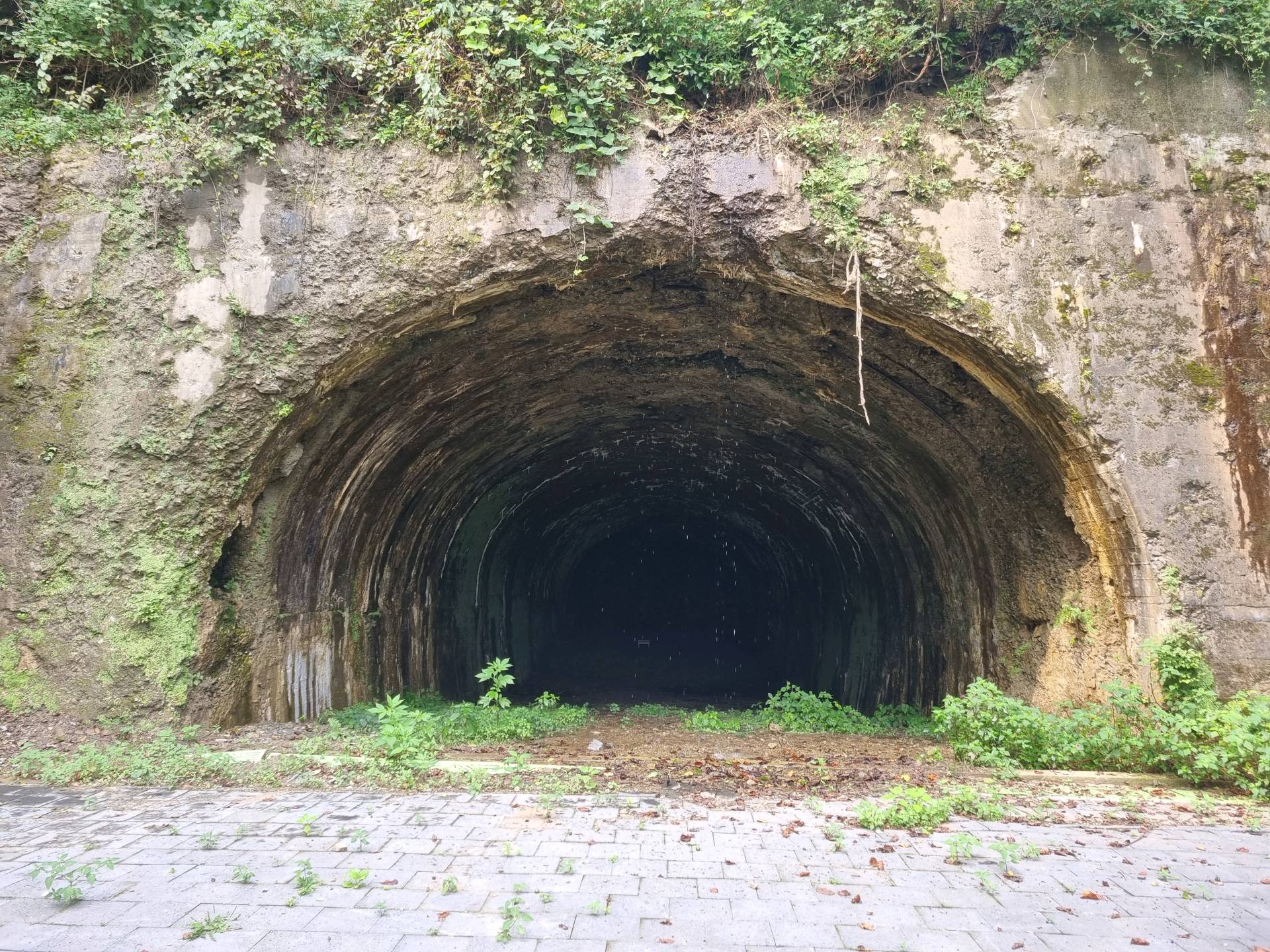 DMZ 평화의 길 14코스