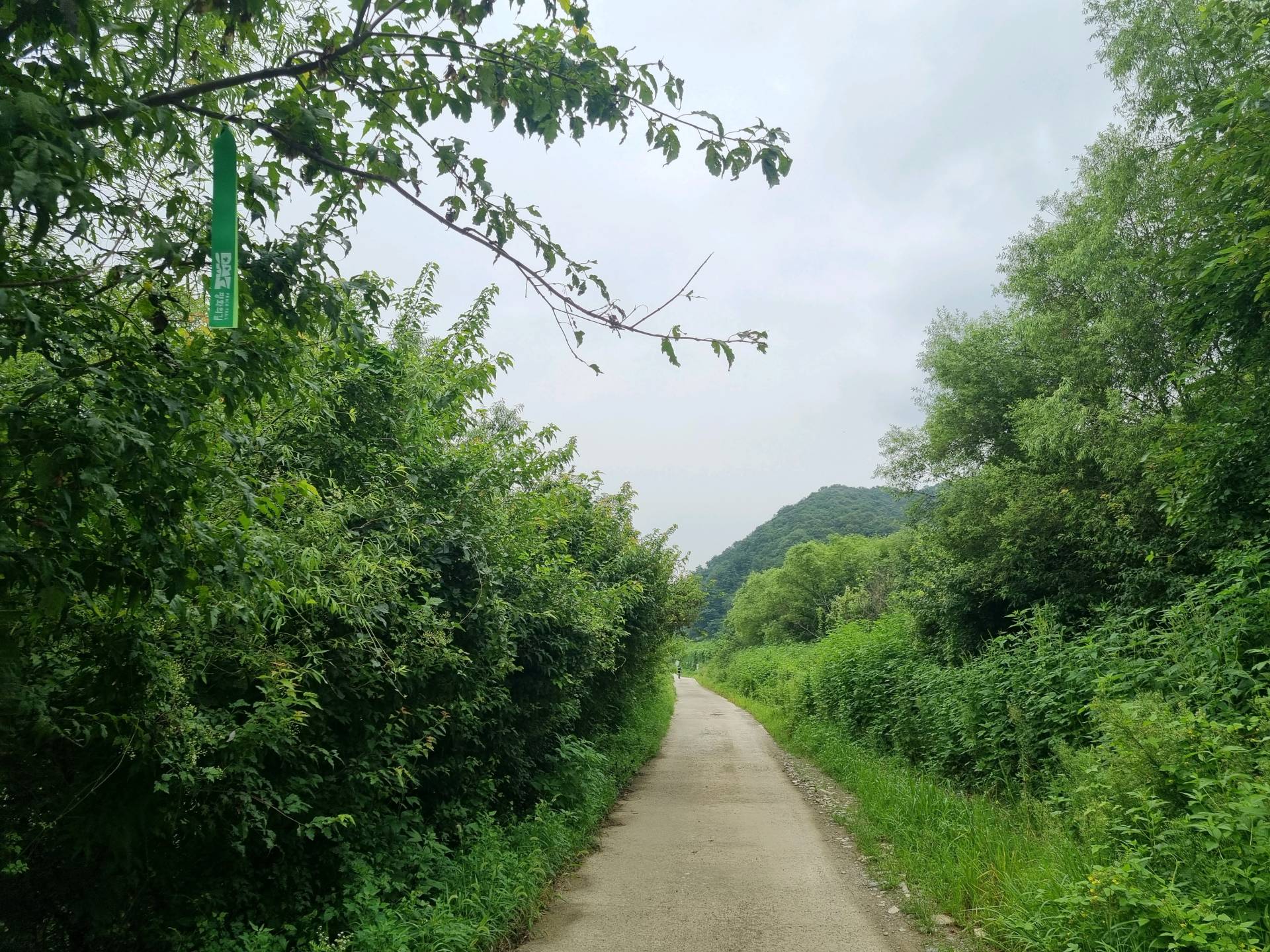 DMZ 평화의 길 14코스