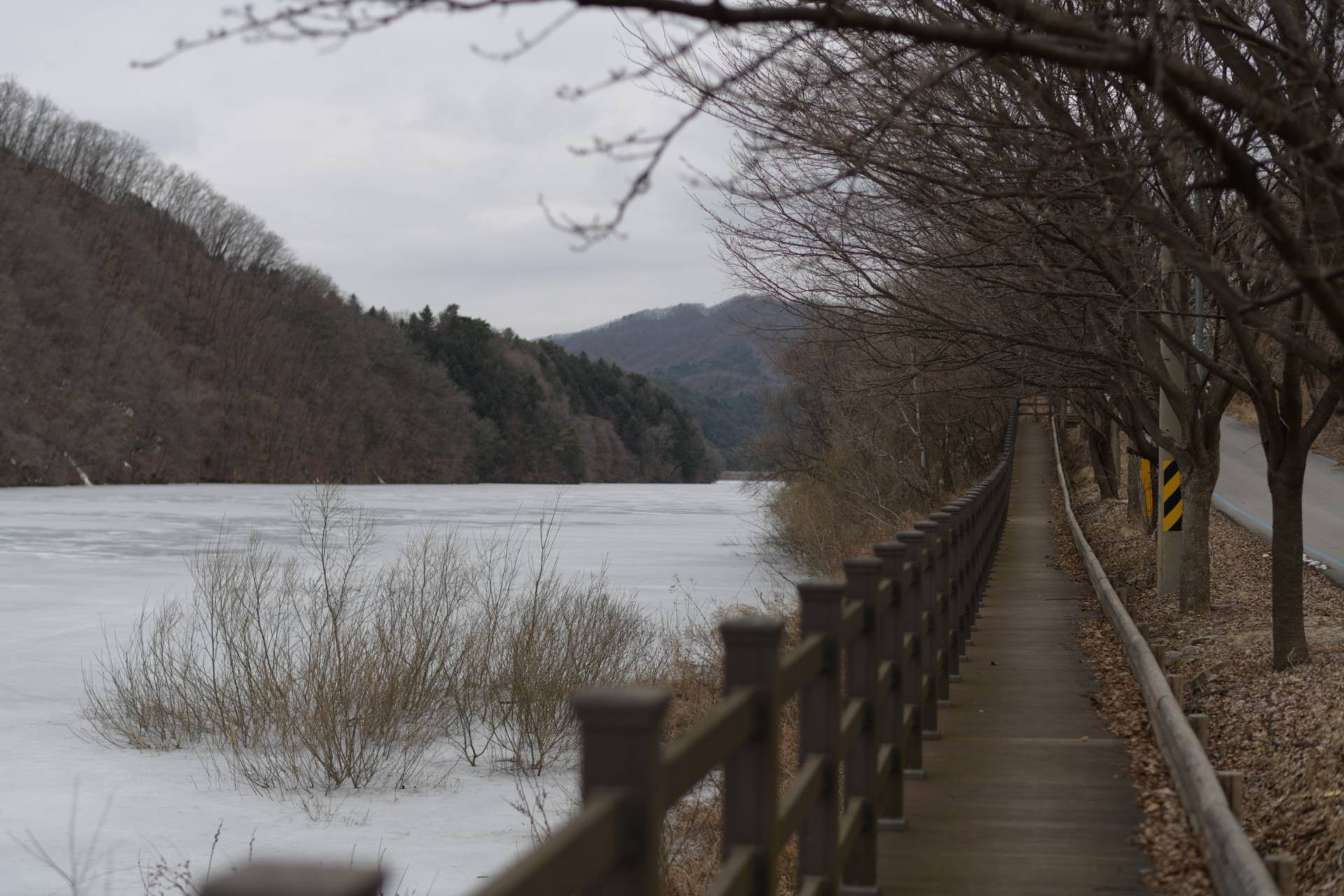 DMZ 평화의 길 19-1코스(우회로)