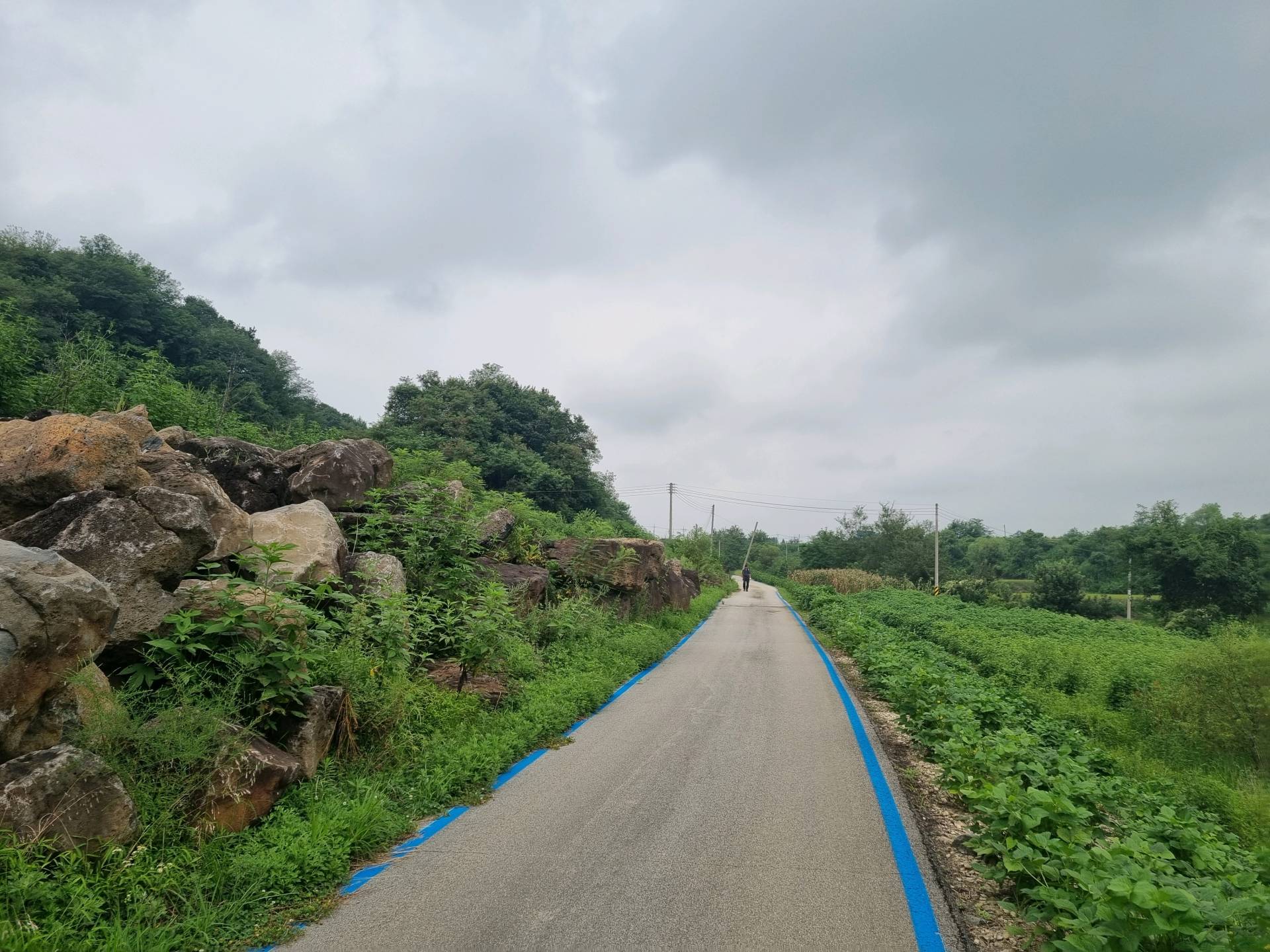 DMZ 평화의 길 14코스