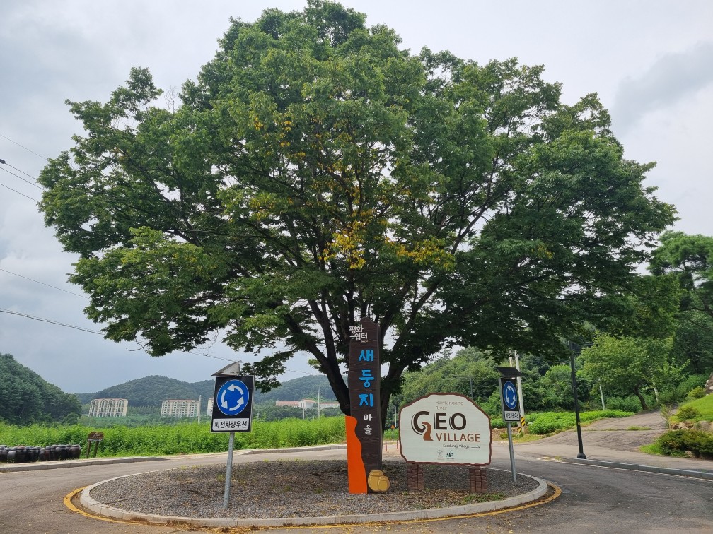 DMZ 평화의 길 11코스 