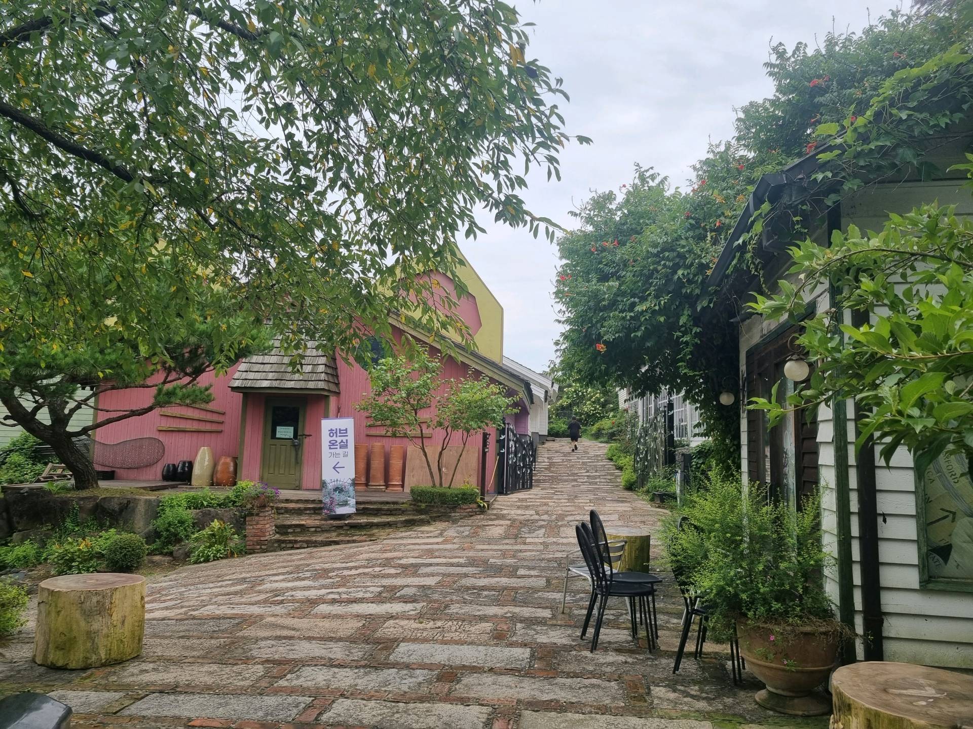 DMZ 평화의 길 12코스