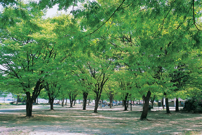 여강길 1코스 옛나루터길