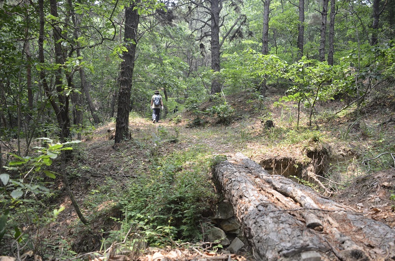 여강길 2코스 세물머리길