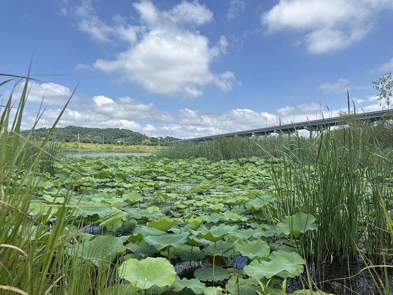 여강길 9-1코스 (양촌달빛길)