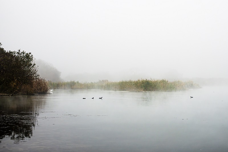 여강길 7코스 부처울습지길