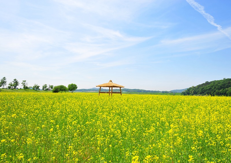 여강길 9코스 너른들길