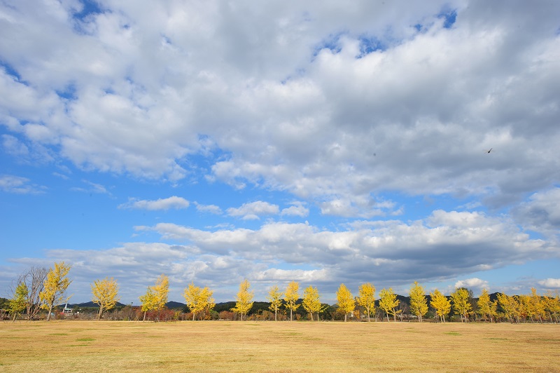 여강길 3-1코스 (강천섬길)