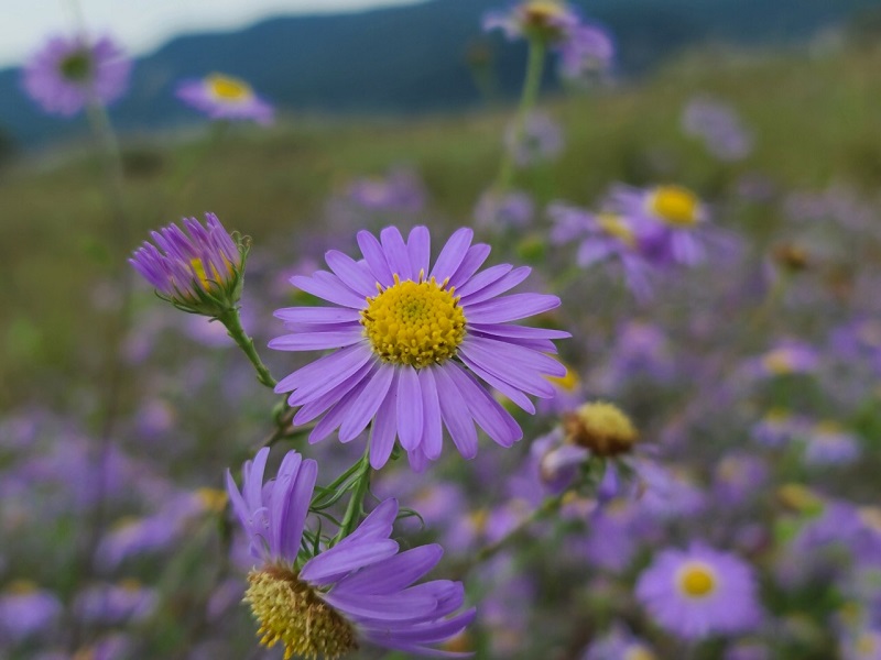여강길 3-1코스 (강천섬길)