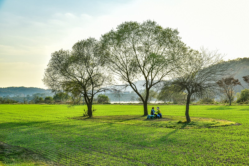 여강길 9코스 너른들길