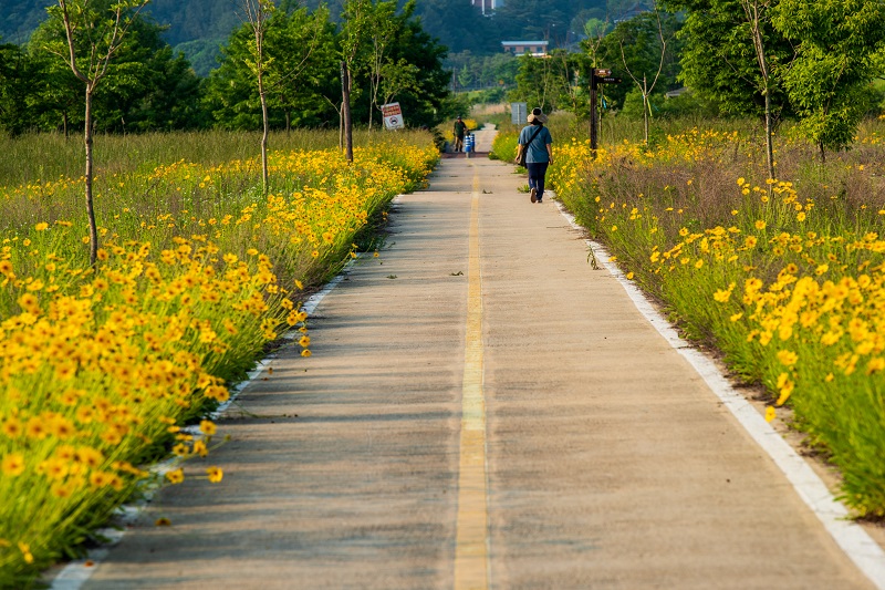 여강길 3코스 바위늪구비길