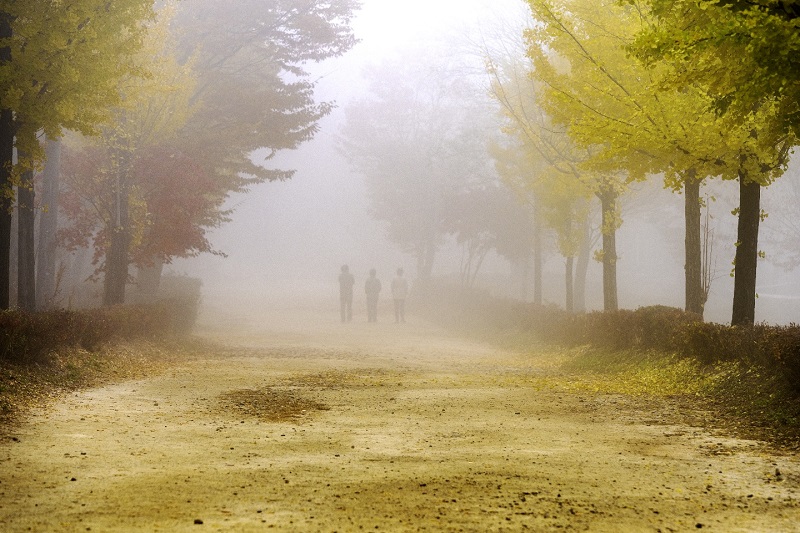 여강길 4코스 5일장터길