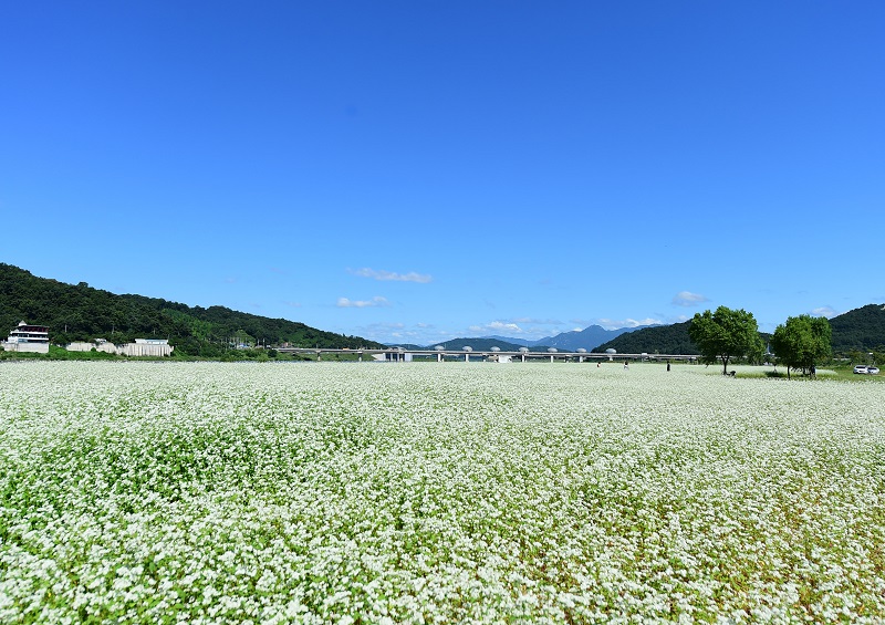 여강길 9코스 너른들길