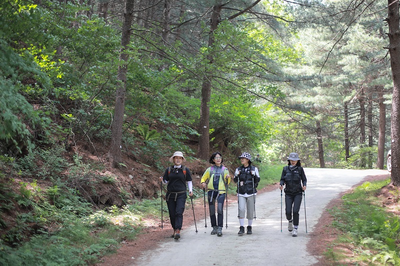 여강길 11코스 (동학의길)