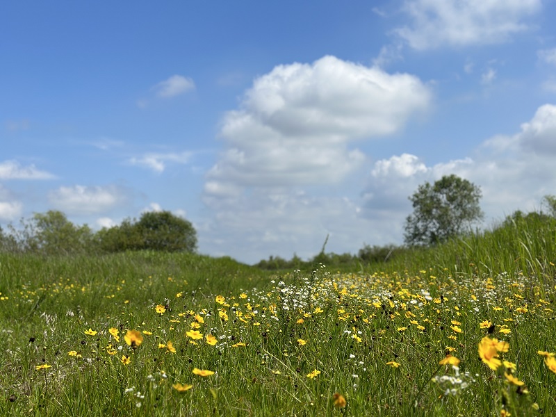 여강길 9-1코스 (양촌달빛길)