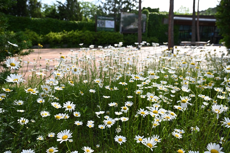 여강길 5코스 황학산길