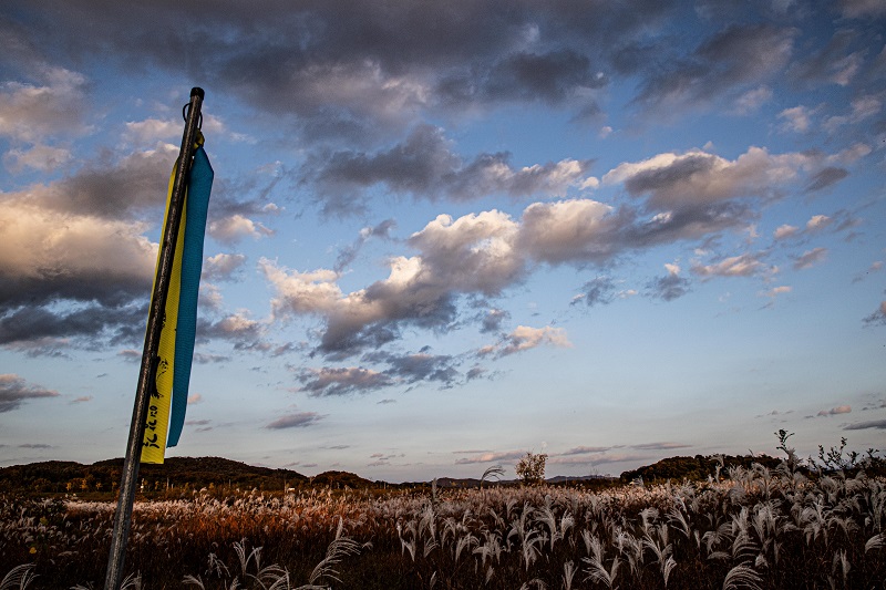 여강길 9-1코스 (양촌달빛길)