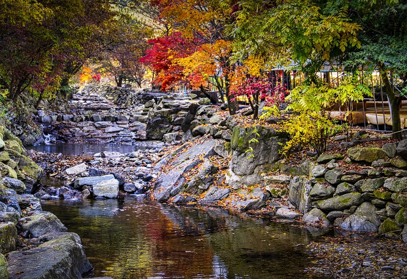 여강길 11코스 (동학의길)