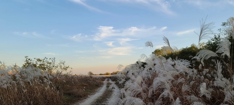 여강길 9-1코스 (양촌달빛길)