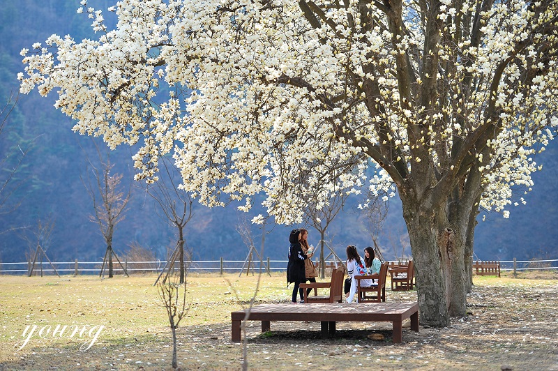 여강길 3-1코스 (강천섬길)