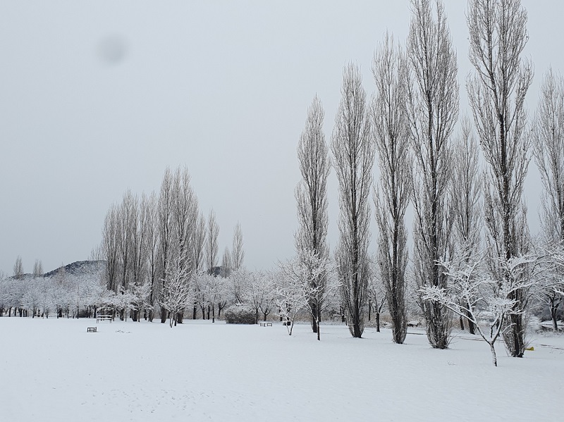 여강길 3-1코스 (강천섬길)