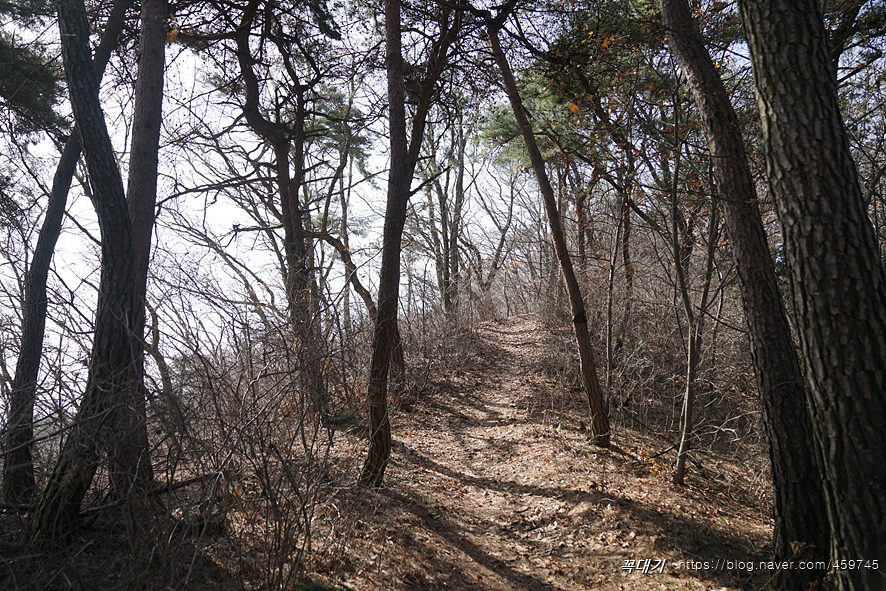 마국산 둘레길