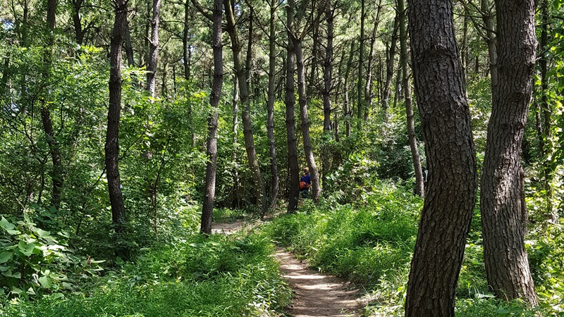 해파랑길 8코스