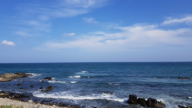 해파랑길 8코스