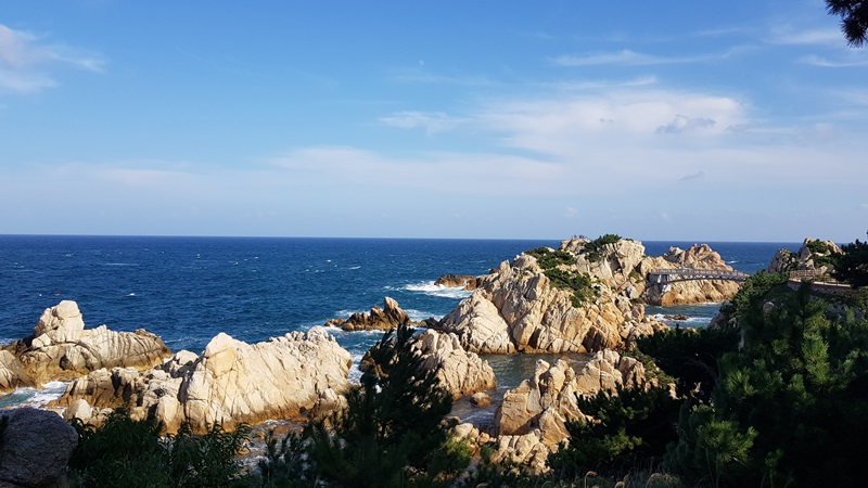 해파랑길 8코스