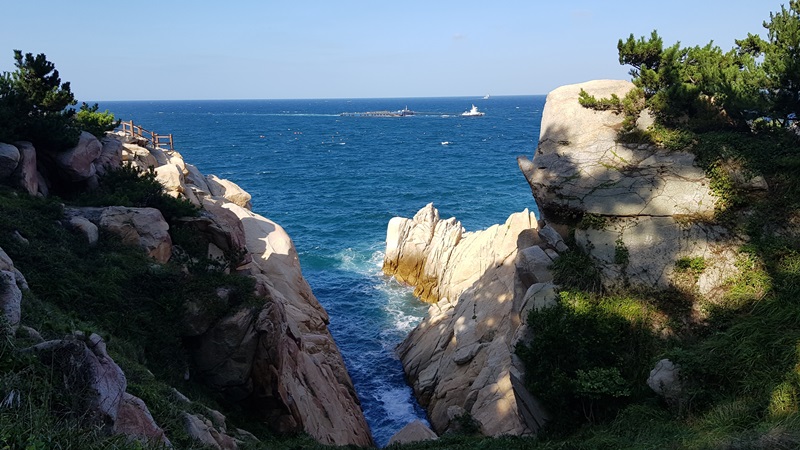 해파랑길 8코스