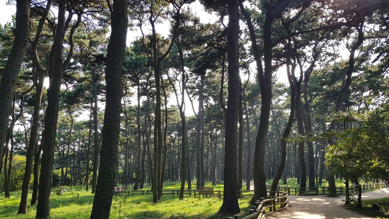 해파랑길 8코스