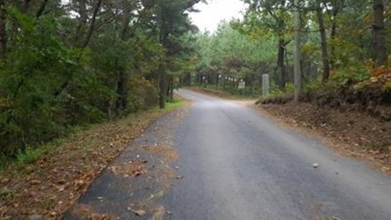 해파랑길 16코스