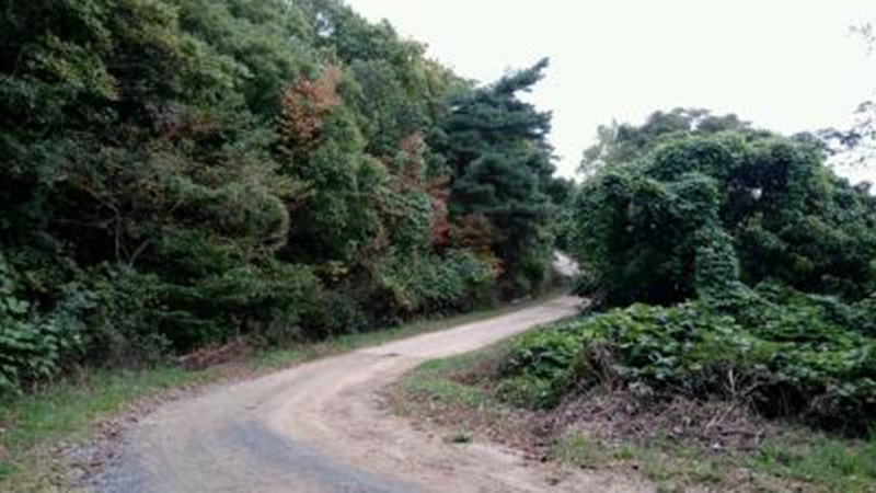 해파랑길 16코스