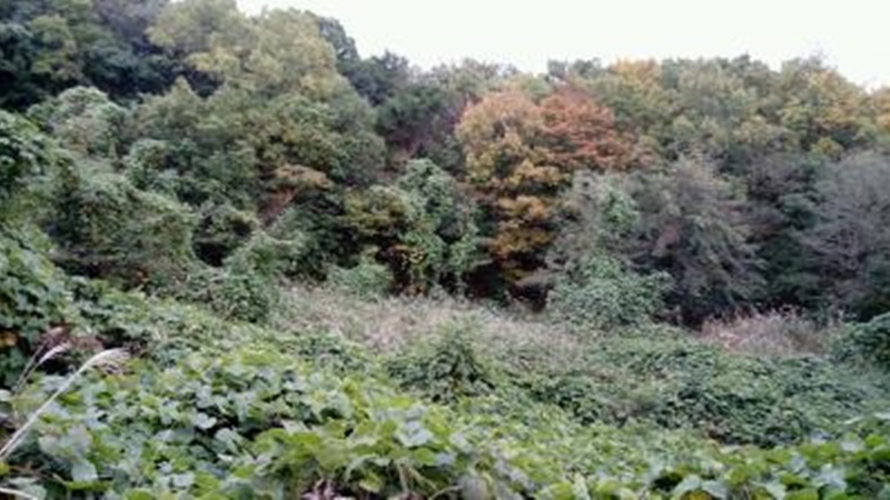 해파랑길 16코스