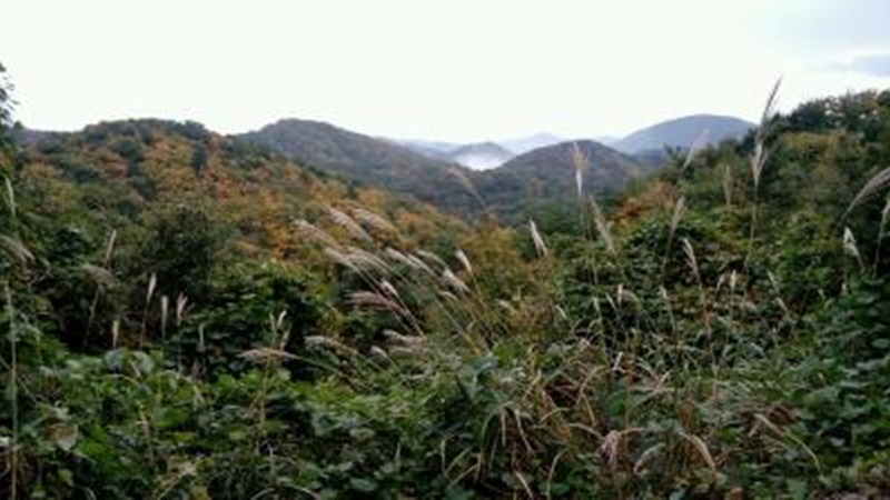 해파랑길 16코스