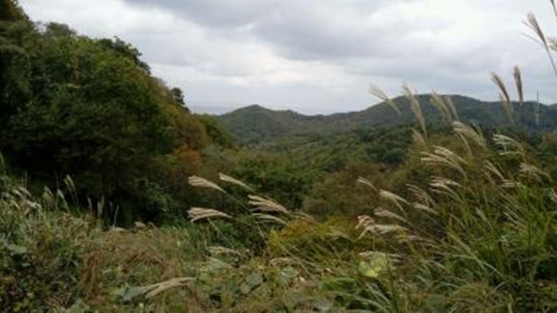 해파랑길 16코스