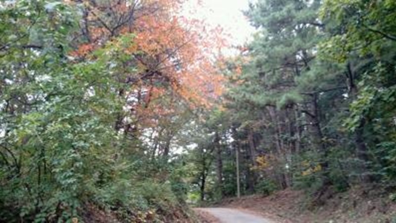 해파랑길 16코스