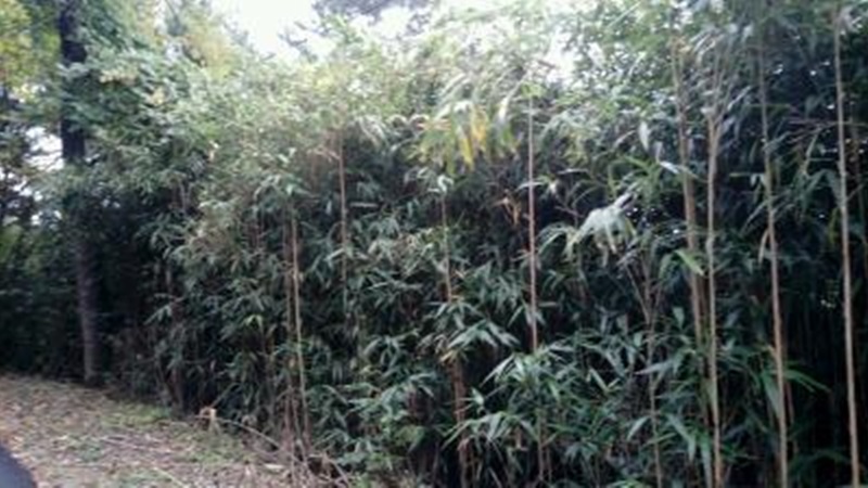 해파랑길 16코스