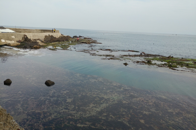 해파랑길 13코스