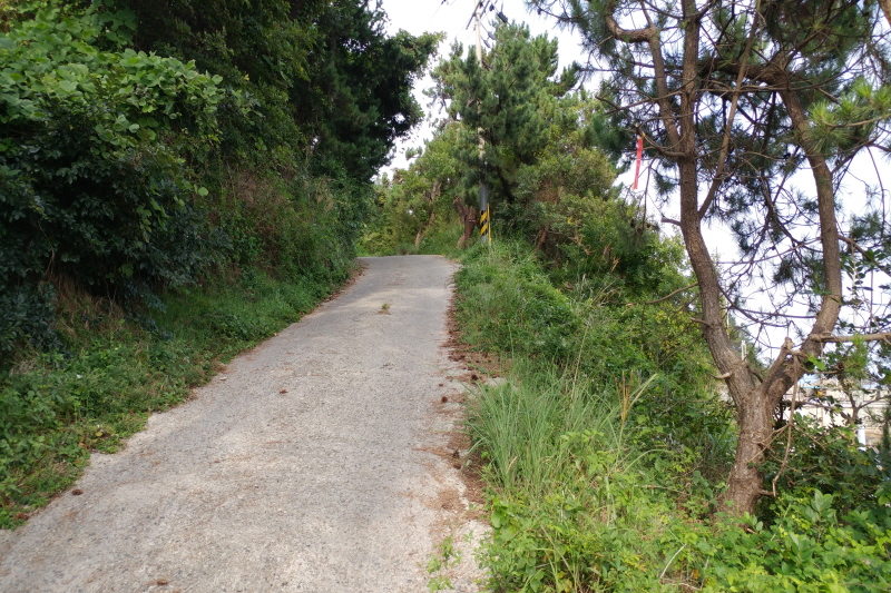 해파랑길 13코스