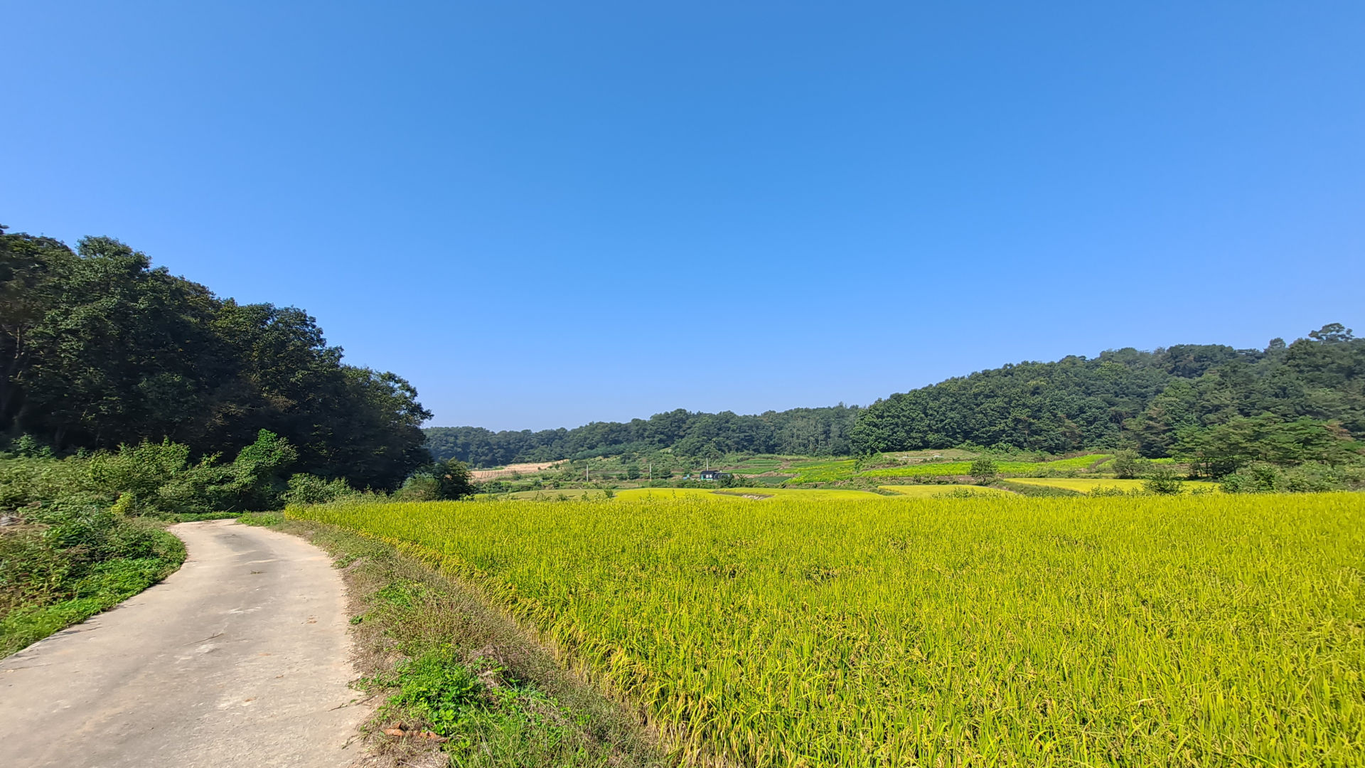 DMZ 평화의 길 10코스 전경